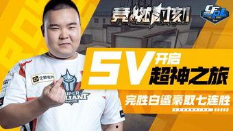 白鲨最新爆料新闻网视频,揭秘新闻网背后惊人内幕  第1张